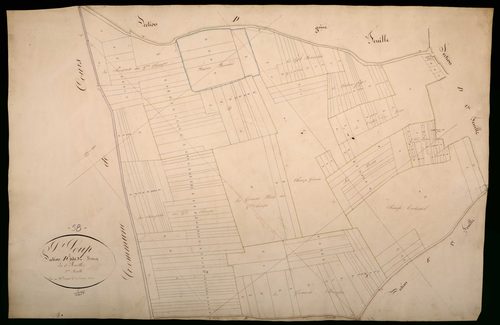 Saint-Loup, cadastre ancien : plan parcellaire de la section D dite du Bourg, feuille 2