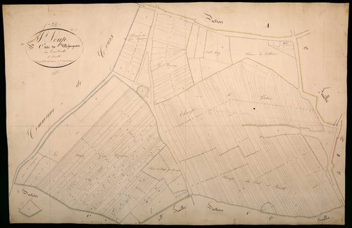 Saint-Loup, cadastre ancien : plan parcellaire de la section C dite de Villefargeau, feuille 1