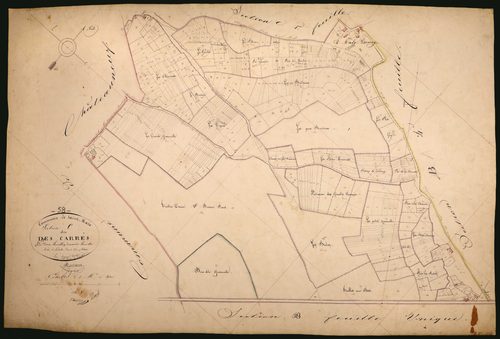 Saint-Malo-en-Donziois, cadastre ancien : plan parcellaire de la section C dite des Carrés, feuille 2