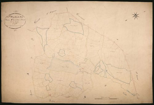 Saint-Martin-du-Puy, cadastre ancien : plan parcellaire de la section A dite de Berges et Seneux, feuille 1