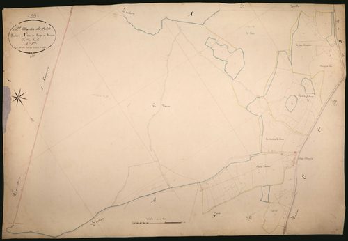 Saint-Martin-du-Puy, cadastre ancien : plan parcellaire de la section A dite de Berges et Seneux, feuille 4