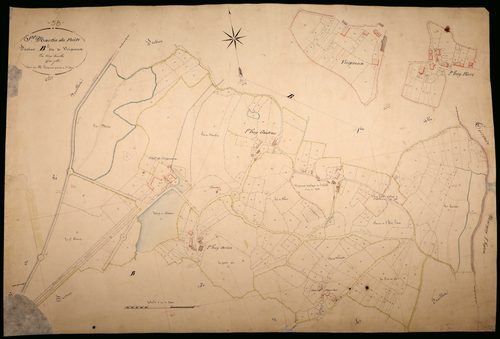 Saint-Martin-du-Puy, cadastre ancien : plan parcellaire de la section B dite de Vésigneux, feuille 2