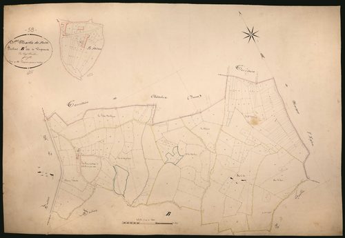 Saint-Martin-du-Puy, cadastre ancien : plan parcellaire de la section B dite de Vésigneux, feuille 1