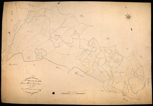 Saint-Martin-du-Puy, cadastre ancien : plan parcellaire de la section D dite de Plainefas, feuille 6