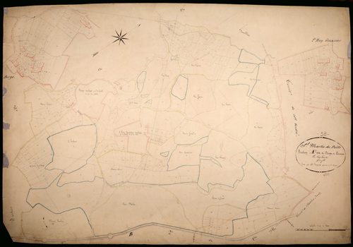 Saint-Martin-du-Puy, cadastre ancien : plan parcellaire de la section A dite de Berges et Seneux, feuille 2