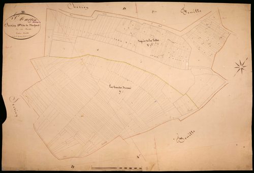 Saint-Martin-sur-Nohain, cadastre ancien : plan parcellaire de la section D dite de Moussard, feuille 3