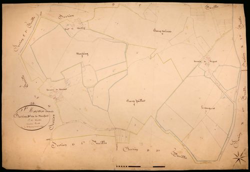 Saint-Martin-sur-Nohain, cadastre ancien : plan parcellaire de la section D dite de Moussard, feuille 2