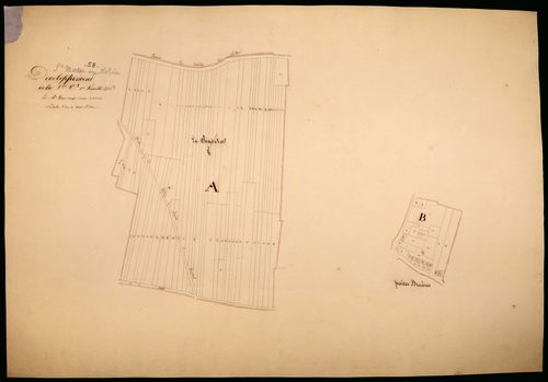 Saint-Martin-sur-Nohain, cadastre ancien : plan parcellaire de la section C dite des Bruyères, feuille 1, développement