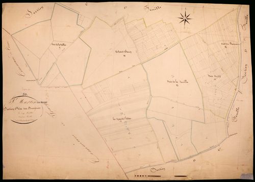 Saint-Martin-sur-Nohain, cadastre ancien : plan parcellaire de la section C dite des Bruyères, feuille 2