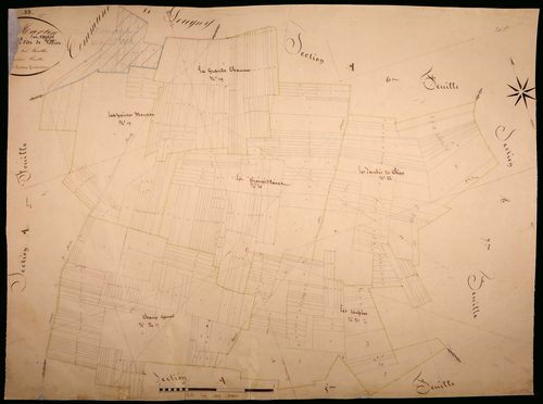 Saint-Martin-sur-Nohain, cadastre ancien : plan parcellaire de la section A dite de Villiers, feuille 5