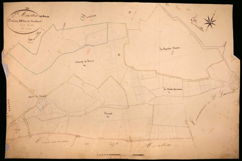Saint-Martin-sur-Nohain, cadastre ancien : plan parcellaire de la section D dite de Moussard, feuille 4