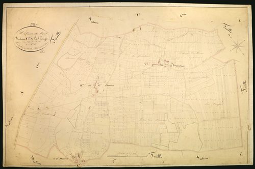 Saint-Pierre-du-Mont, cadastre ancien : plan parcellaire de la section C dite de la Pouge, feuille 3