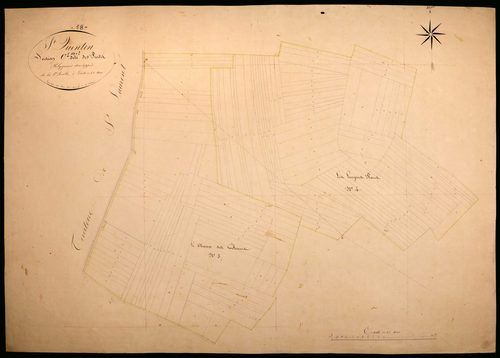 Saint-Quentin-sur-Nohain, cadastre ancien : plan parcellaire de la section C dite des Puits, feuille 1, développement