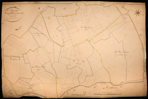 Saint-Quentin-sur-Nohain, cadastre ancien : plan parcellaire de la section D dite de Chaume Panier, feuille 2