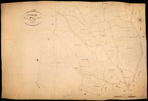 Saint-Saulge, cadastre ancien : plan parcellaire de la section D dite de Pouzy, feuille 4