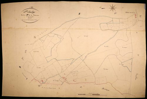 Saint-Saulge, cadastre ancien : plan parcellaire de la section B dite de Ranceau, feuille 6