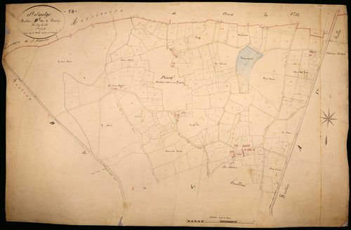 Saint-Saulge, cadastre ancien : plan parcellaire de la section D dite de Pouzy, feuille 5