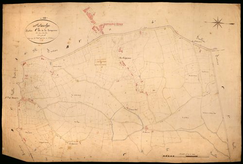 Saint-Saulge, cadastre ancien : plan parcellaire de la section C dite de la Longenne, feuille 3