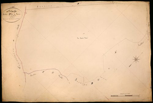 Saint-Saulge, cadastre ancien : plan parcellaire de la section D dite de Pouzy, feuille 2
