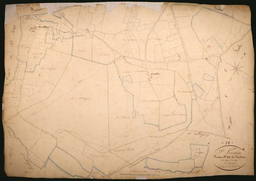 Saint-Vérain, cadastre ancien : plan parcellaire de la section D dite des Bouillons, feuille 2