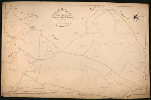 Sauvigny-les-Bois, cadastre ancien : plan parcellaire de la section C dite de Marigny, feuille 2