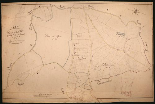 Savigny-Poil-Fol, cadastre ancien : plan parcellaire de la section C dite de la Sarrée, feuille 1