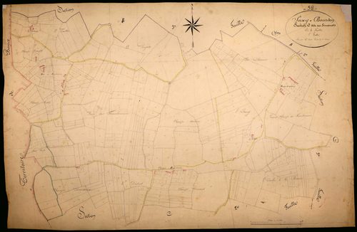 Saxi-Bourdon, cadastre ancien : plan parcellaire de la section C dite des Simonots, feuille 1