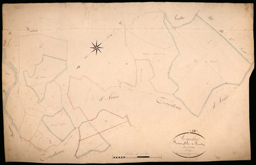 Sémelay, cadastre ancien : plan parcellaire de la section D dite de Sémelay, feuille 6