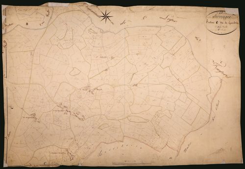Sermages, cadastre ancien : plan parcellaire de la section C dite de Grandry, feuille 4