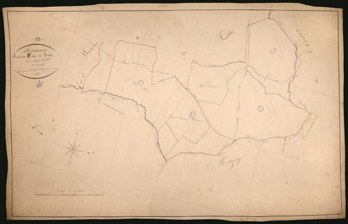 Sermoise-sur-Loire, cadastre ancien : plan parcellaire de la section B dite des Bois, feuille 2