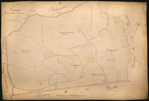Sichamps, cadastre ancien : plan parcellaire de la section A dite du Montois, feuille 2