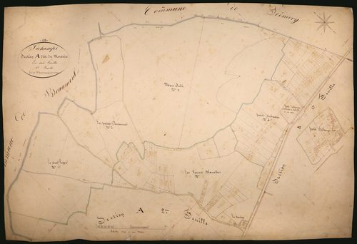 Sichamps, cadastre ancien : plan parcellaire de la section A dite du Montois, feuille 1