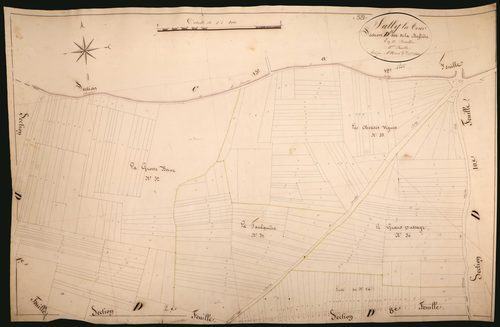 Suilly-la-Tour, cadastre ancien : plan parcellaire de la section D dite de la Buffière, feuille 11
