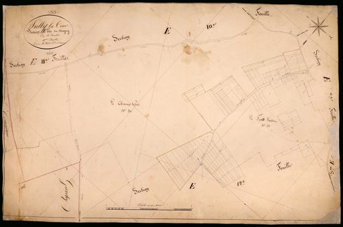 Suilly-la-Tour, cadastre ancien : plan parcellaire de la section E dite du Magny, feuille 11