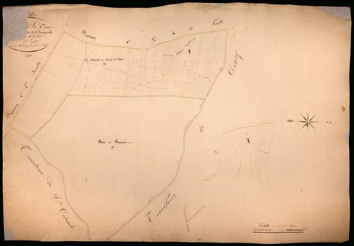Suilly-la-Tour, cadastre ancien : plan parcellaire de la section C dite de Champcelée, feuille 3