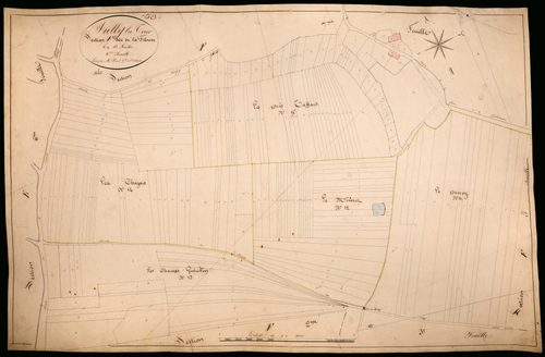 Suilly-la-Tour, cadastre ancien : plan parcellaire de la section F dite de la Filouse, feuille 6