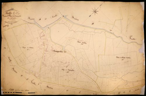 Suilly-la-Tour, cadastre ancien : plan parcellaire de la section C dite de Champcelée, feuille 7