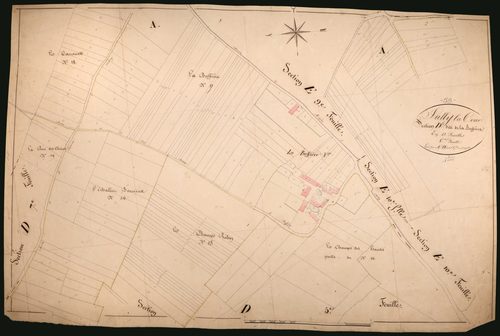 Suilly-la-Tour, cadastre ancien : plan parcellaire de la section D dite de la Buffière, feuille 6