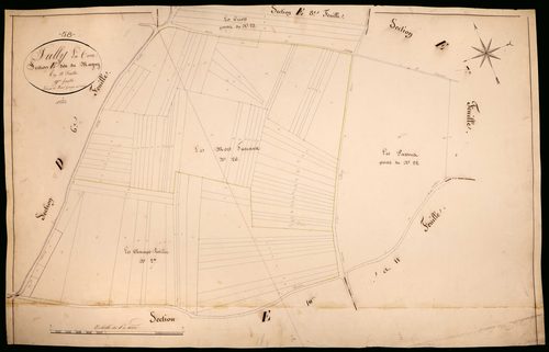 Suilly-la-Tour, cadastre ancien : plan parcellaire de la section E dite du Magny, feuille 9
