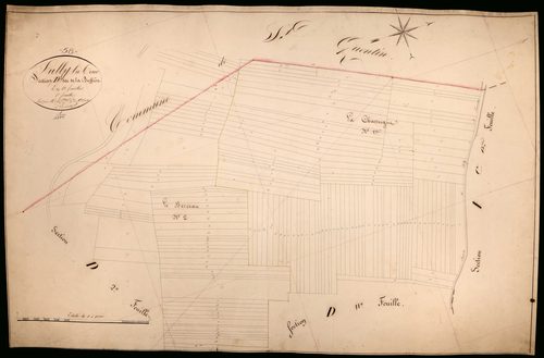 Suilly-la-Tour, cadastre ancien : plan parcellaire de la section D dite de la Buffière, feuille 1