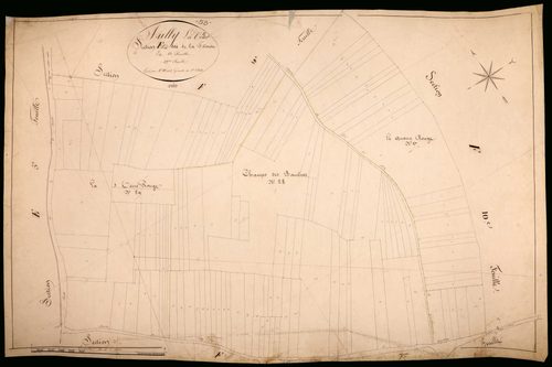 Suilly-la-Tour, cadastre ancien : plan parcellaire de la section F dite de la Filouse, feuille 12