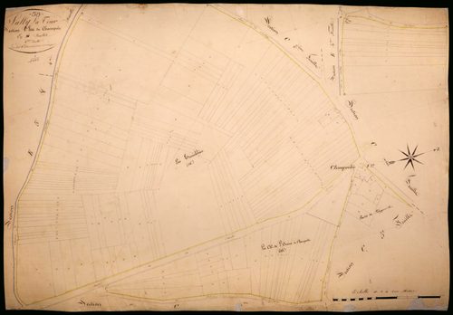 Suilly-la-Tour, cadastre ancien : plan parcellaire de la section C dite de Champcelée, feuille 6