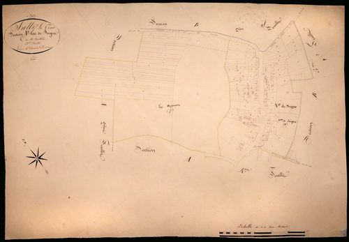 Suilly-la-Tour, cadastre ancien : plan parcellaire de la section A dite de Seigne, feuille 3