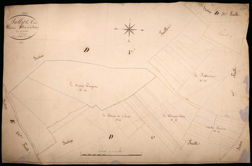Suilly-la-Tour, cadastre ancien : plan parcellaire de la section D dite de la Buffière, feuille 5