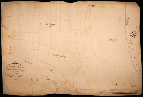 Suilly-la-Tour, cadastre ancien : plan parcellaire de la section A dite de Seigne, feuille 2