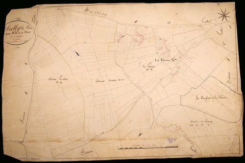 Suilly-la-Tour, cadastre ancien : plan parcellaire de la section F dite de la Filouse, feuille 7