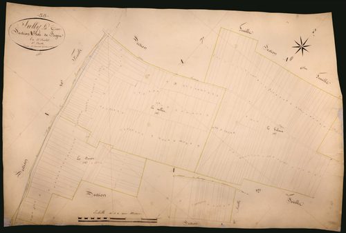 Suilly-la-Tour, cadastre ancien : plan parcellaire de la section A dite de Seigne, feuille 5