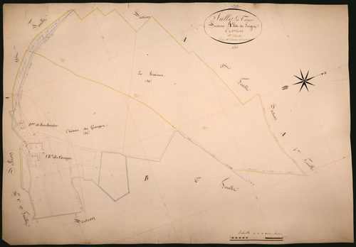 Suilly-la-Tour, cadastre ancien : plan parcellaire de la section A dite de Seigne, feuille 12