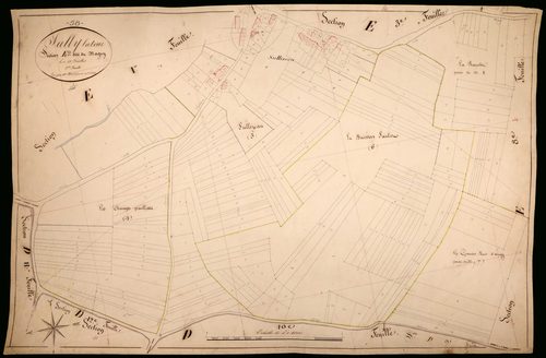 Suilly-la-Tour, cadastre ancien : plan parcellaire de la section E dite du Magny, feuille 2
