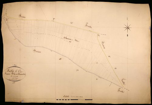 Suilly-la-Tour, cadastre ancien : plan parcellaire de la section C dite de Champcelée, feuille 9